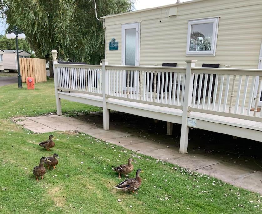 Springs Southview Skegness Apartment Winthorpe  ภายนอก รูปภาพ